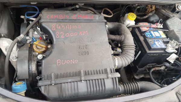 IMG-20200219-WA0011