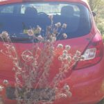 IMG-20201028-WA0180